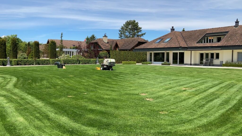 Schefers Garten GmbH Ostschweiz Landschaftsgätner Unterhalt Rasen pflegen Rasenmähen