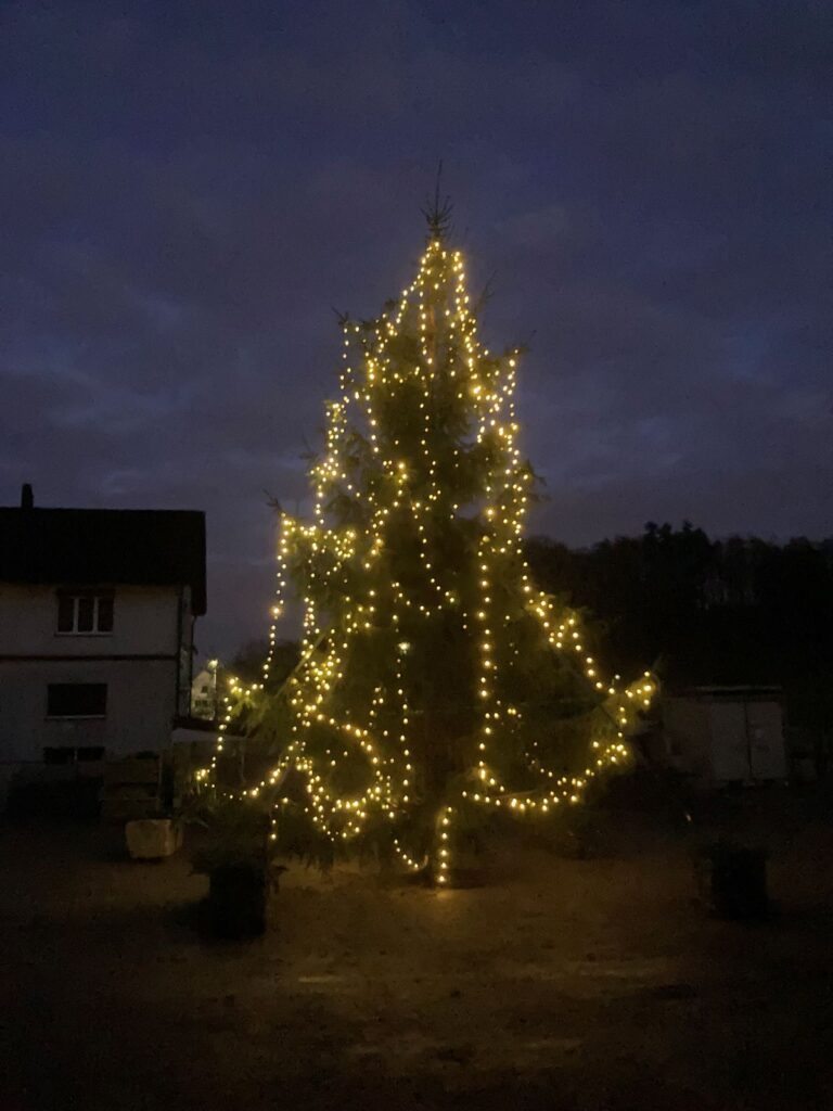 Schefers Garten GmbH Ostschweiz Christbaumverkauf