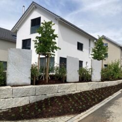 Schefers Garten Gartenbau Ostschweiz Garten Sichtschutz